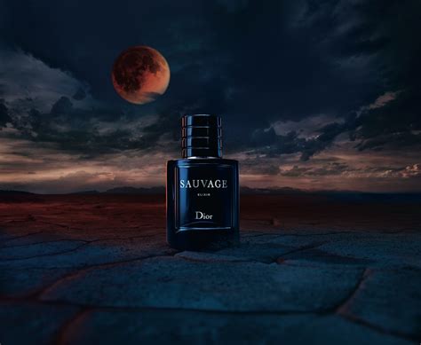 sauvage dior meaning